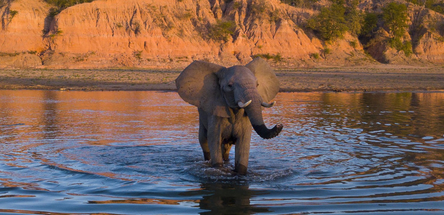 Educational School Trip to Gonarezhou National Park - Chiredzi Central Academy